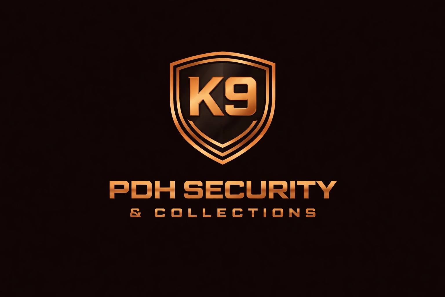 PDH Security & Collections logo